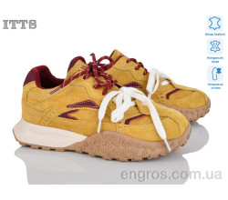 Кроссовки ITTS